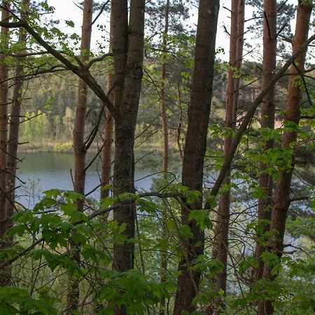 Nad Jeziorem Wsrod Lasow Дом отдыха Lipnica (Bytow)