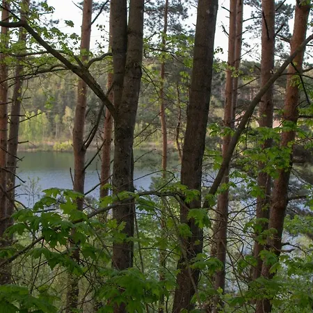 Nad Jeziorem Wsrod Lasow بيت للعطل Lipnica (Bytow)