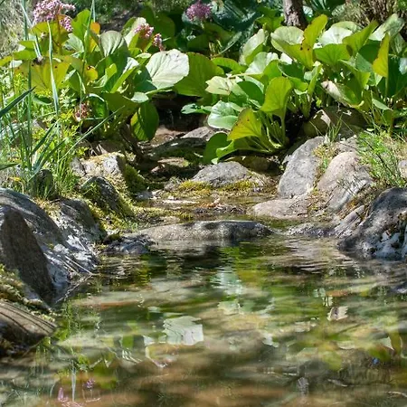 Nad Jeziorem Wsrod Lasow Holiday home