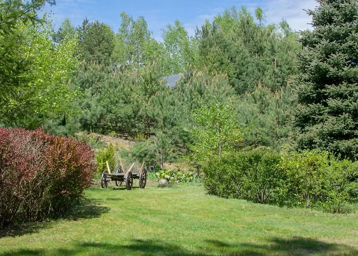 Nad Jeziorem Wsrod Lasow بيت للعطل Lipnica (Bytow)