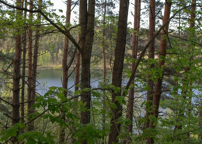 Nad Jeziorem Wsrod Lasow بيت للعطل Lipnica (Bytow)