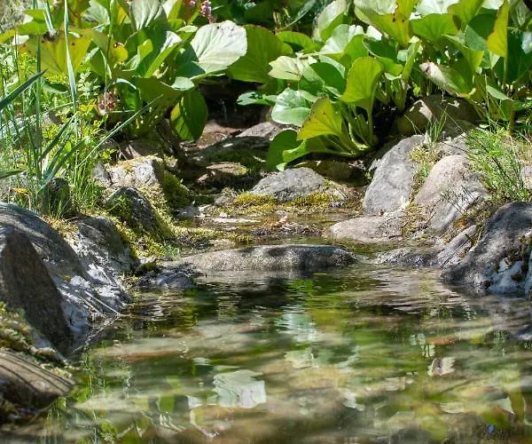 Nad Jeziorem Wsrod Lasow بيت للعطل